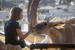 Namibia_August (25/135)